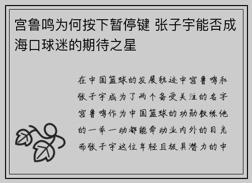 宫鲁鸣为何按下暂停键 张子宇能否成海口球迷的期待之星